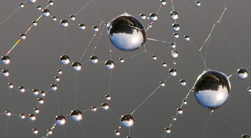 Adhesion and possible problems