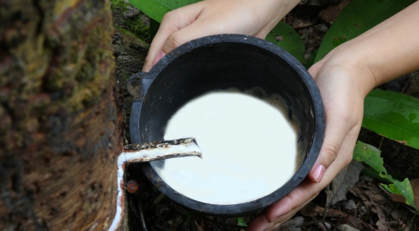 Латексний клей: особливості, склад, застосування