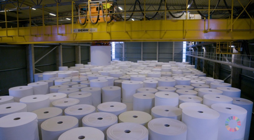 Все, що потрібно знати про паперові рушники