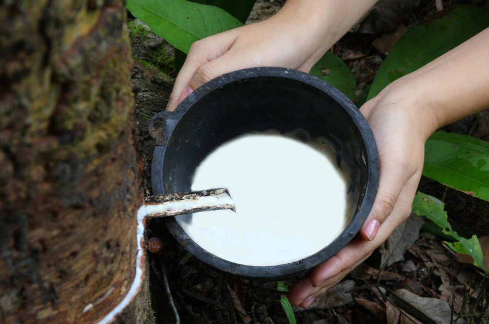 Латексний клей: особливості, склад, застосування