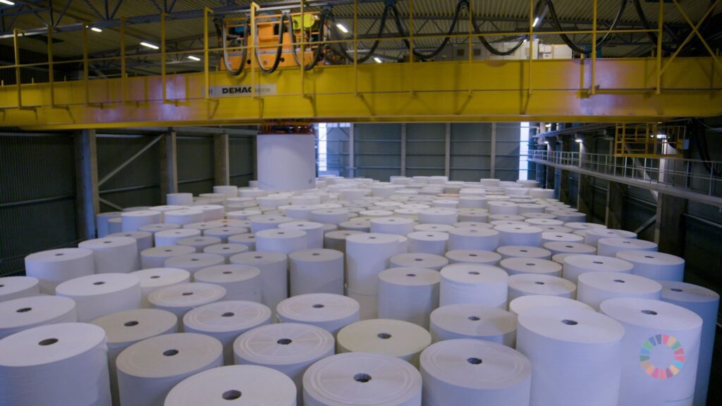 Все, что нужно знать о бумажных полотенцах